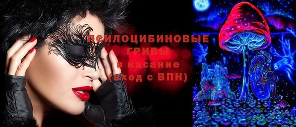 гашик Балахна
