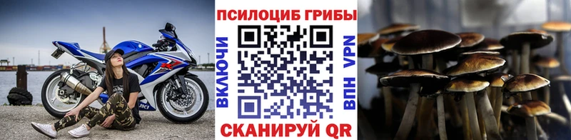 Псилоцибиновые грибы ЛСД  Вичуга 